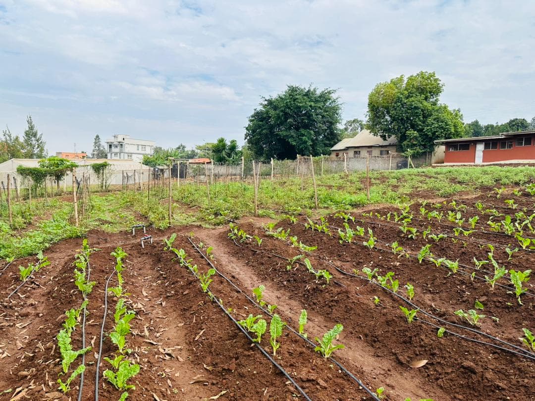 Agricultural Irrigation System